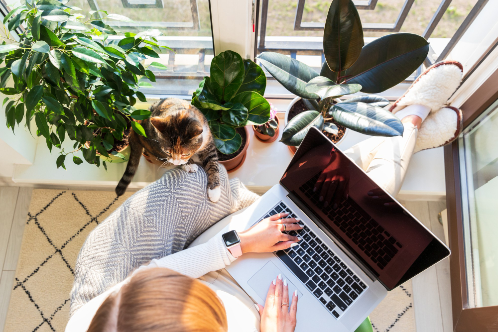 Nobody Tells You This When You Start Working From Home | Flipboard