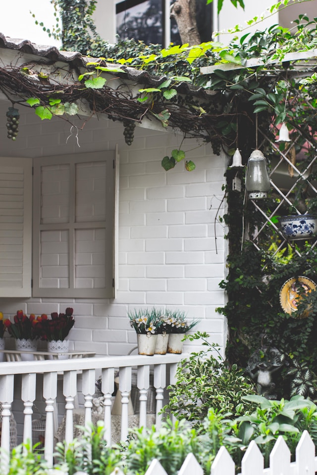 Your Garden Dilemma: Should You Choose Lawn or Stone? | Flipboard