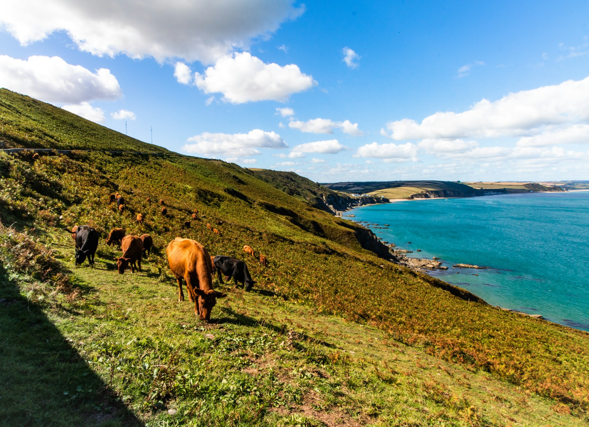These British Beaches Are Game-Changers for Families Who Want More Than Just Sand and Sun | Flipboard